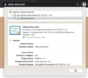 Fixed BigCommerce Store SSL Certificate Fixed image